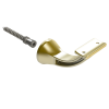 brushed-gold