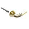 brushed-gold